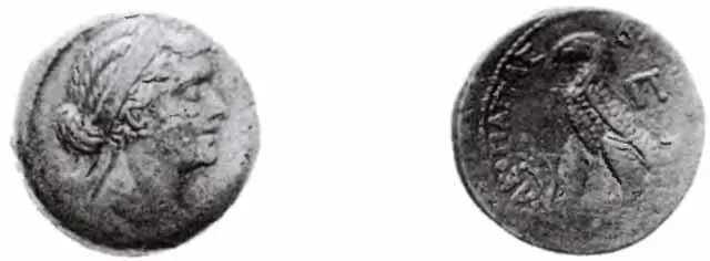 Бронзовая монета Клеопатры VII диаметр 27 см Выпущена в Александрии 5130 - фото 5