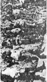 Тела расстрелянных активистов ПОУМа и анархистов 1937 г Волонтер - фото 98