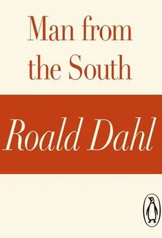 Роальд Даль - Человек с юга
