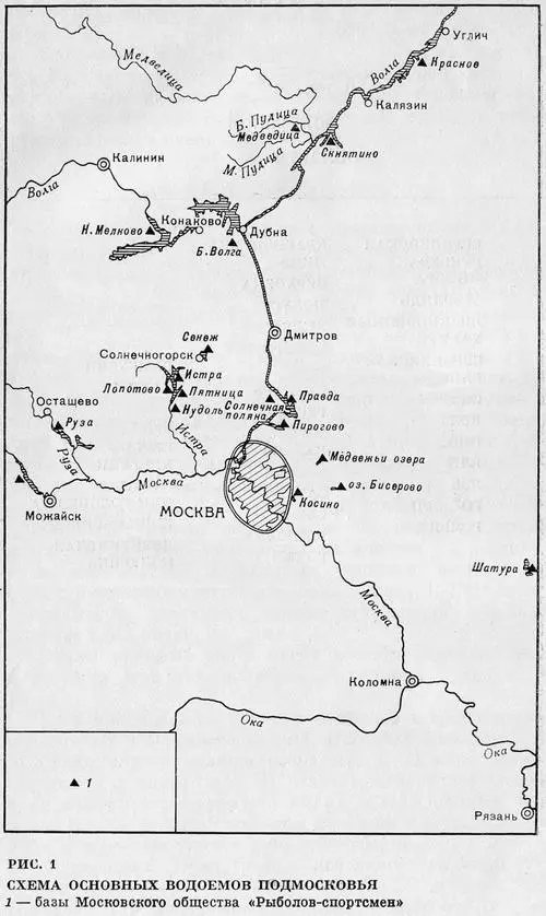 Рыбы Подмосковья - фото 21