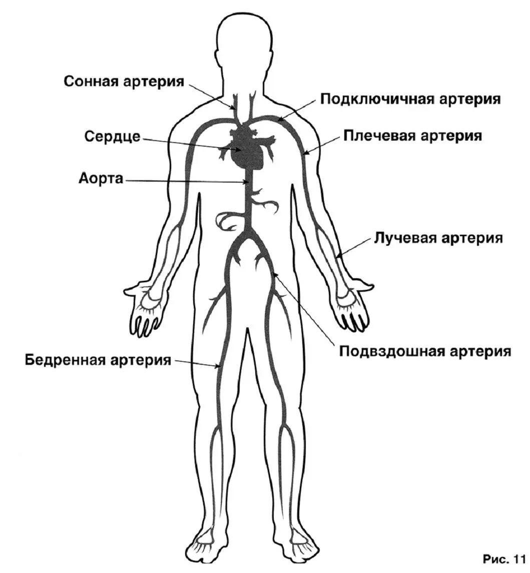 Такое ранение скорее всего приведёт к летальному исходу что в большинстве - фото 11