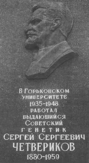 Барельеф С С Четверикова на здании биофака ННГУ Генетика эта коварная - фото 94
