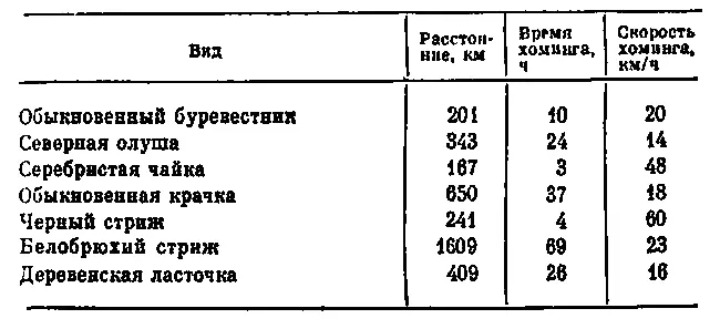 Таблица 2Примеры быстрого хомингового полета птиц по Мэтьюз 1955 Иногда - фото 32
