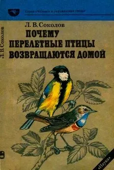 Леонид Соколов - Почему перелетные птицы возвращаются домой