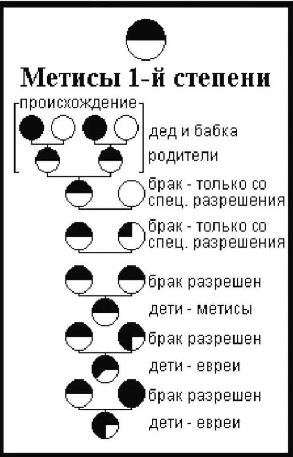 Всему этому вторила расовая наука Немецкая физика вопрошал профессор Ф - фото 3