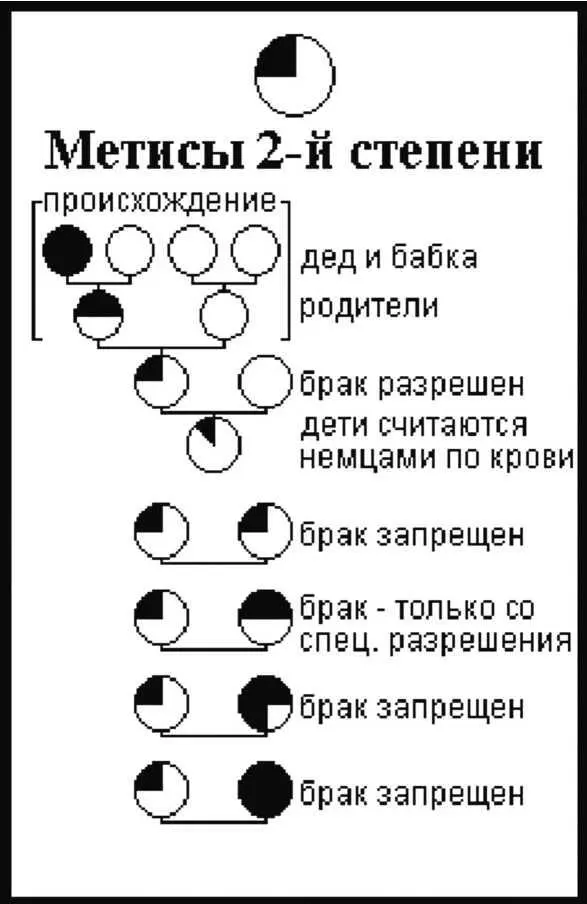 Всему этому вторила расовая наука Немецкая физика вопрошал профессор Ф - фото 4