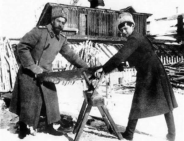 Николай II пилит дрова Кажется ни один писатель до Лескова не сумел так ярко - фото 111