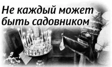 Вы помните моего сына Вы не можете его не помнить Боже что это был за - фото 72