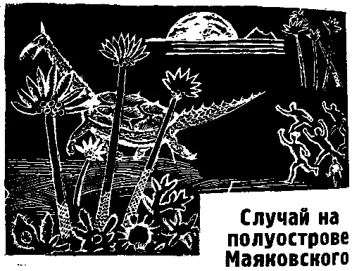 СЛУЧАЙ НА ПОЛУОСТРОВЕ МАЯКОВСКОГО Первым заметил ракету Тимофей Соловых - фото 5