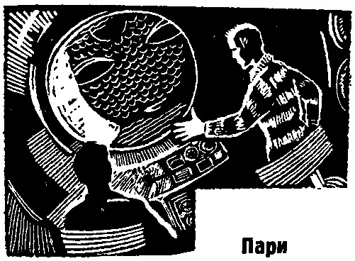 ПАРИ Сегодня когда говорящая рыба раскрыла нам наконец загадку Ангольской - фото 8