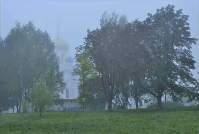 Вот интересно на перекрестке улиц в нашем сравнительно новом микрорайоне на - фото 53