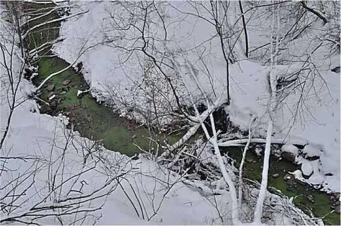 Высота любимый конек одного из соавторов а именно Яна АртюсаБертрана - фото 204