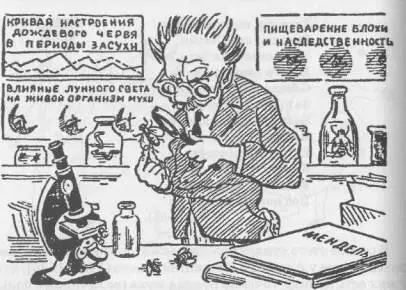 Единственная новая порода продуктивного скота выведенная - фото 44