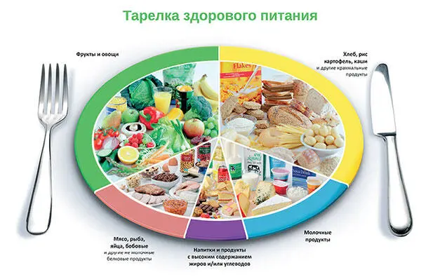 Полноценное питание улучшает все функции организма Наш реальный мир наполнен - фото 25