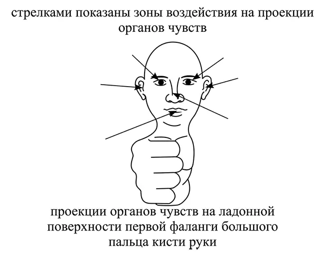 b Произвести однодвукратный интенсивный безболезненный и кратковременный - фото 43