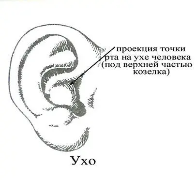 a Производить нажим щупом или другими подручными средствами спичка булавка - фото 44