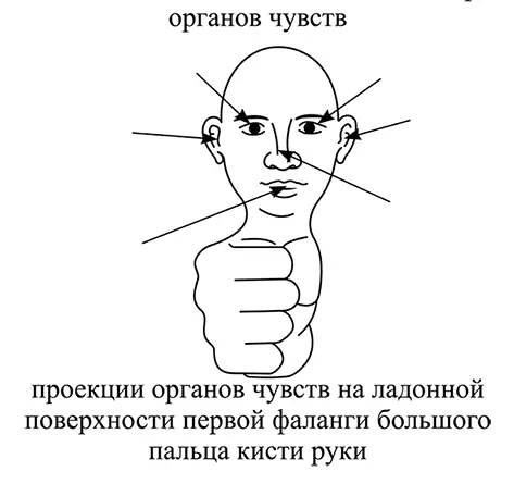 a Обследуемому необходимо представить неприятную ситуацию чувство страха - фото 48