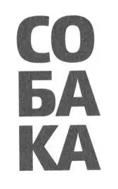 В детстве я хотел иметь собаку Овчарку Непременно немецкую Я видел их - фото 3