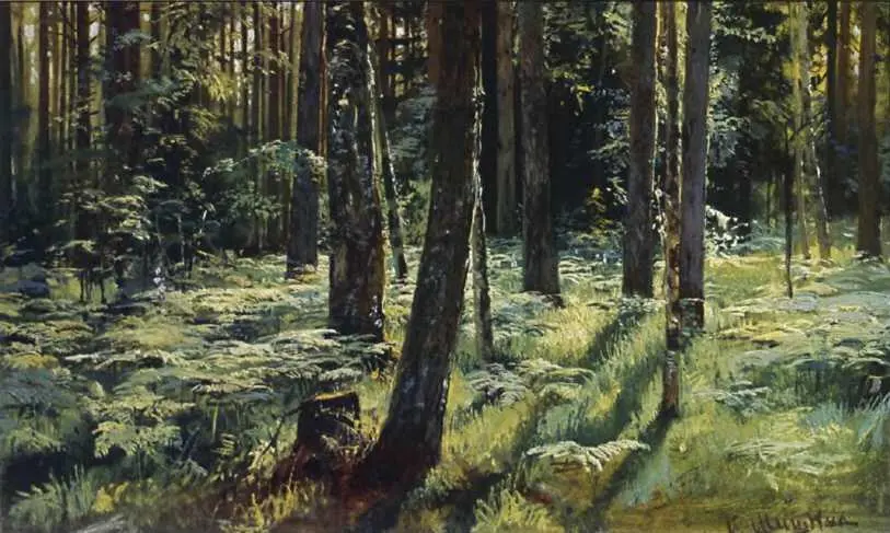 Папоротники в лесу 1883 Среди долины ровный 1883 Русское богатство В - фото 21