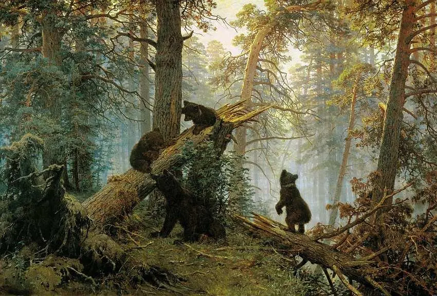 Утро в сосновом лесу 1889 Дождь в дубовом лесу 1891 В произведениях - фото 37