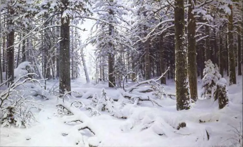 Зима 1890 Первый снег 1875 На севере диком 1890 - фото 40