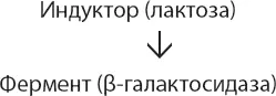 Чтобы совершить прорыв им оставалось открыть еще одного ключевого игрока и - фото 15
