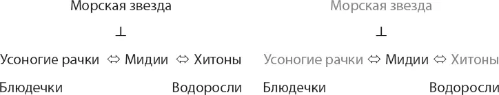 Пэйновское изгнание морских звезд красноречиво подкрепляло гипотезу ХСС о том - фото 33