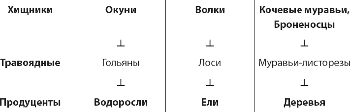 Я изобразил эти каскады так чтобы подчеркнуть нисходящие отрицательные - фото 36