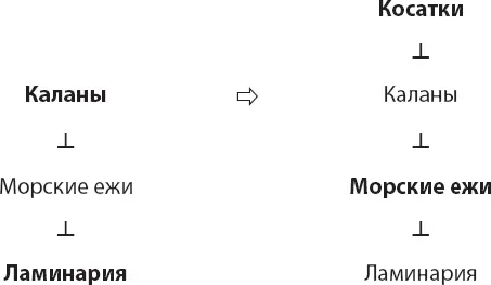 Не все животные равны Опыт который начался с изгнания морских звезд позволил - фото 37