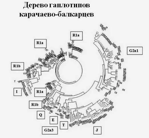 Слайд 1 Слайд 2 Из первого слайда видно что карачаевобалкарцы весьма - фото 132