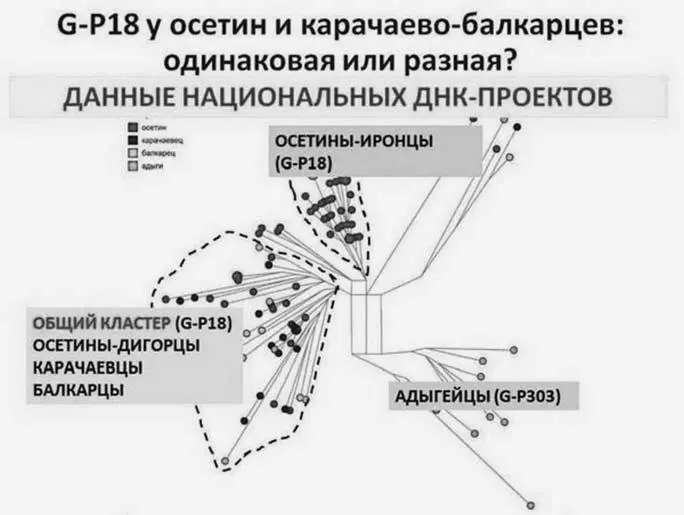Слайд из доклада Балановского на Конференции Иначе говоря я разделяю во - фото 138
