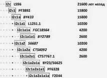 Диаграмма субкладов в сокращении гаплогруппы I2сL596 справа приведено - фото 51