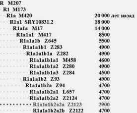 Фрагмент диаграммы субкладов гаплогруппы R1a более детальный в части - фото 104