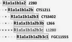 Фрагмент диаграммы субкладов гаплогруппы R1a более детальный в части - фото 106