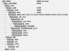 Фрагмент диаграммы гаплогруппы R1b и нижестоящих субкладов и снипов Полная - фото 113