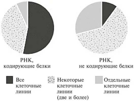 Рис 143Экспрессию генов кодирующих белки и генов не кодирующих белки - фото 40