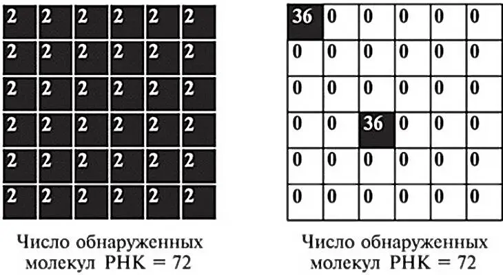 Рис 144Каждый маленький квадратик изображает одну клетку Цифры в квадратике - фото 41