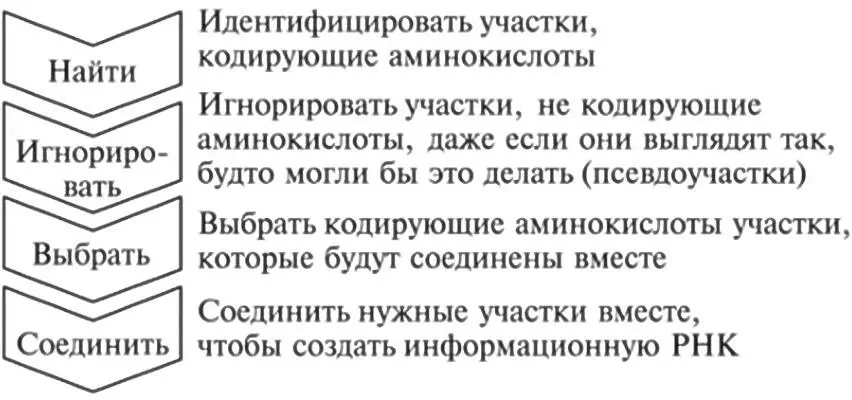 Рис 174 Сверху вниз последовательность действий которые должна уметь - фото 54