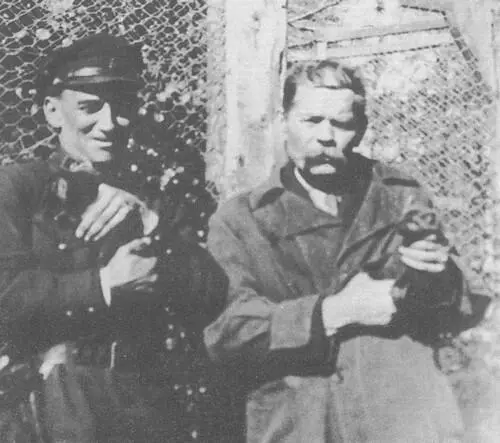 М Горький и Г Бокий в питомнике с соболятами Соловки 1929 Публикуется - фото 37