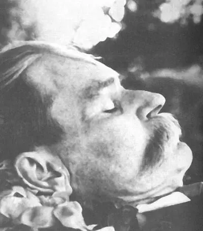 М Горький скончался 18 июня 1936 года Врачи констатировали что смерть - фото 54