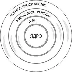 Рис 4 Структура эгрегора Второе Они не должны противоречить ядру системы а - фото 24