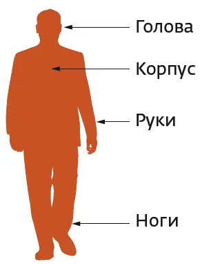 Рис 43Ключевые компоненты которые создают основу невербальной коммуникации - фото 12