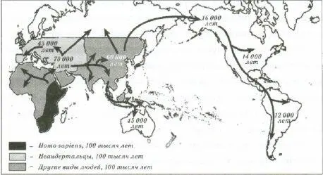 История покорения планеты числа время появления Homo sapiens до наших дней - фото 5