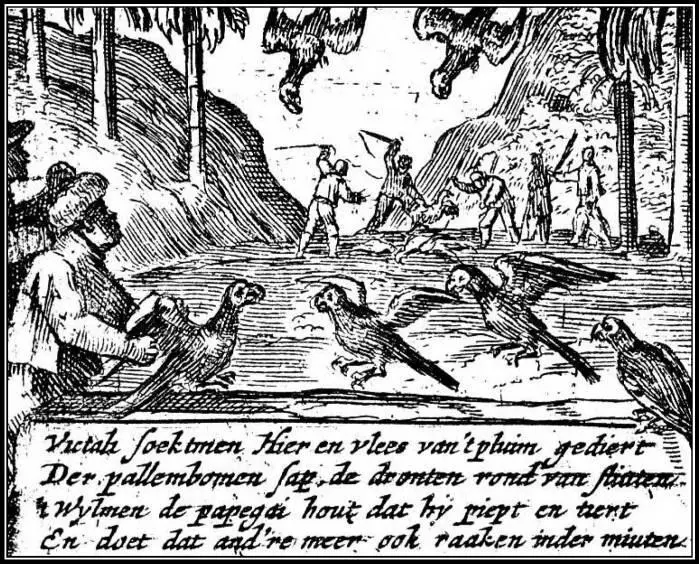 Описывая эту иллюстрацию Виллема вен Вест Занена 1648 года Антон Корнелий - фото 23
