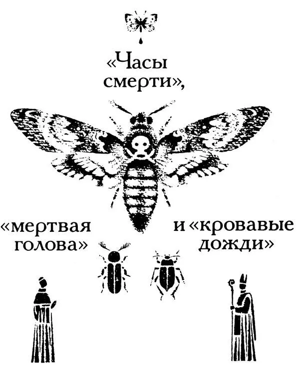 Иногда люди как мы уже говорили безо всякой причины приписывали животным - фото 35