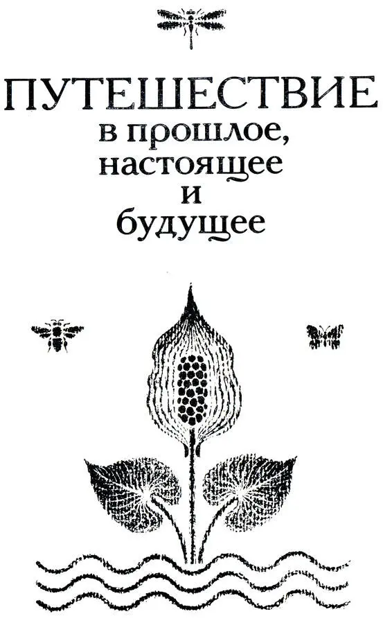 Предисловие к третьей части Что было когда еще не было наук Историки - фото 58