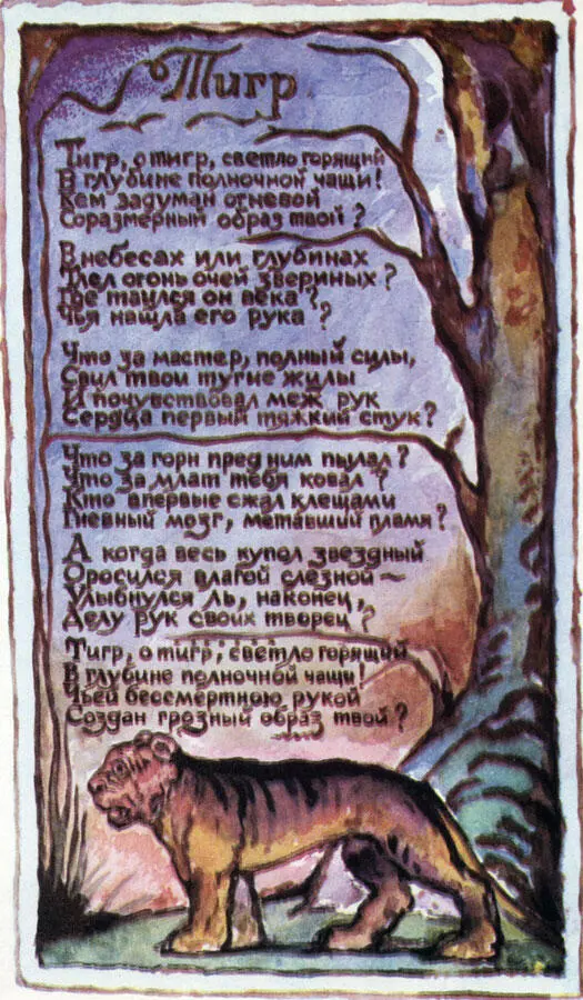 Гимн тигру Единственная кошка которая любит плавать Единственная кошка - фото 86