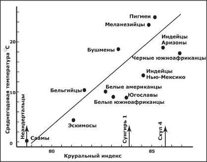Рис 20 Соотношение среднегодовой температуры с круральным индексом - фото 25
