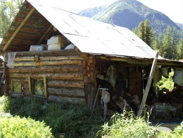 Вспоминаю про Агашины картофелины подаренные мне напоследок Сейчас в - фото 55