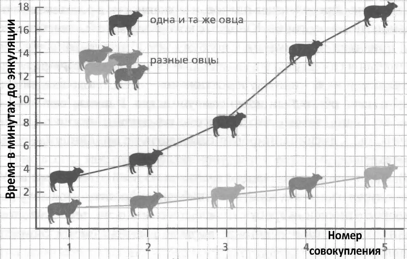 Надеемся что смысл ясен Этот термин закрепился за млекопитающими и описывает - фото 7